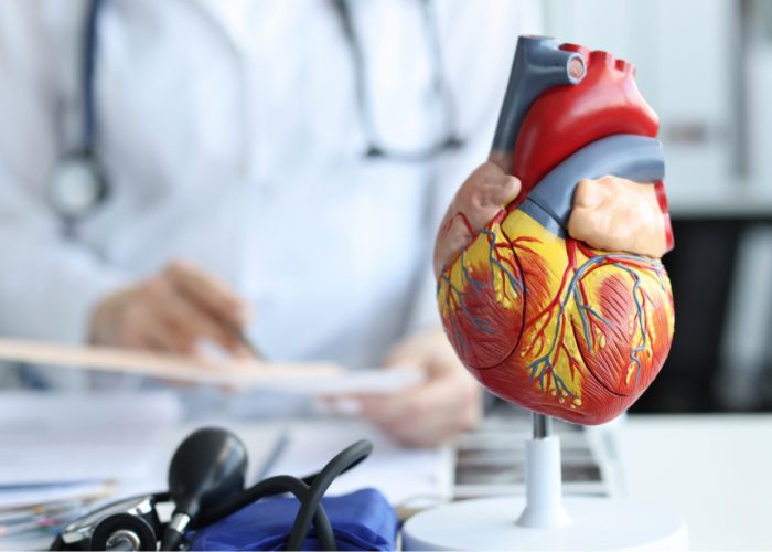 CardioKG permite identificar genes relacionados con enfermedades cardiacas, así como fármacos ya aprobados que podrían reposicionarse para el tratamiento de estas enfermedades.