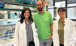 De izquierda a derecha la Dra. Elena Fusari, el Dr. Marco Milán y la Dra. Mariana Muzzopappa, investigadores del IRB que han desarrollado una herramienta para estudiar el efecto de aneuploidías en el desarrollo.