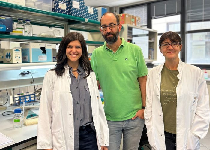 De izquierda a derecha la Dra. Elena Fusari, el Dr. Marco Milán y la Dra. Mariana Muzzopappa, investigadores del IRB que han desarrollado una herramienta para estudiar el efecto de aneuploidías en el desarrollo.