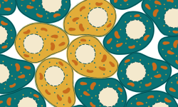 El mosaicismo cromosómico se produce cuando en un mismo organismo coexisten poblaciones celulares de diferente composición cromosómica. Imagen: Rosario García, Genotipia.