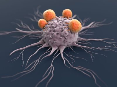 Células inmunitarias que reconocen una célula tumoral que presenta neoantígenos.