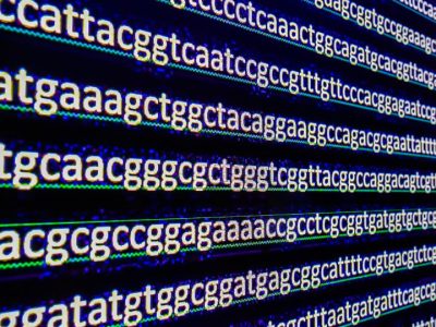 Codigo genético que sirve para poner los nombres de los genes