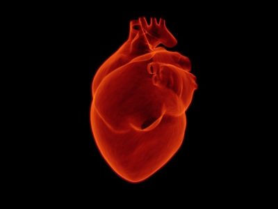 Corazón humano. Imagen: Pixabay.