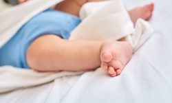 Cribado neonatal canva