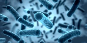 Cuando las mitocondrias no funcionan bien se debilita la barrera intestinal. Un estudio en ratones revela que restaurar el butirato, molécula producida por la microbiota, podría aportar beneficios en estas enfermedades.