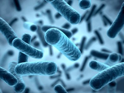 Cuando las mitocondrias no funcionan bien se debilita la barrera intestinal. Un estudio en ratones revela que restaurar el butirato, molécula producida por la microbiota, podría aportar beneficios en estas enfermedades.