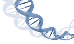 ADN. Imagen modificada de Imagen: Darryl Leja, National Human Genome Research Institute (http://www.genome.gov).