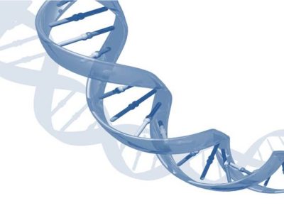 ADN. Imagen modificada de Imagen: Darryl Leja, National Human Genome Research Institute (http://www.genome.gov).