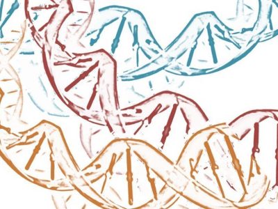 La evaluación de múltiples oncogenes de forma simultánea, en lugar de secuencial  permitiría la optimización del material obtenido en biopsias pulmonares. Imagen: MedigenePress S.L.