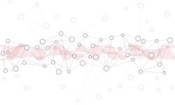 Los genes no suelen actuar de forma individual . Imagen: Indi Samarajiva (CC BY 2.0 https://creativecommons.org/licenses/by/2.0/).