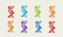 Los investigadores han podido estimar cómo y cuándo se producen los procesos mutacionales que llevan al cáncer, cómo evoluciona cada tipo de cáncer concreto y cuáles son los patrones de selección que actúan sobre las variaciones genéticas asociadas al cáncer. Imagen: Genotipia.