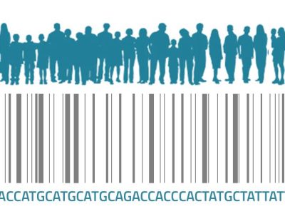 Cada persona contiene miles de variantes genéticas comunes. ¿Es posible identificar a una persona a partir de su combinación de variantes genéticas? Imagen: Medigene Press SL.