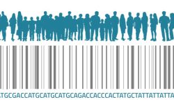 Cada persona contiene miles de variantes genéticas comunes. ¿Es posible identificar a una persona a partir de su combinación de variantes genéticas? Imagen: Medigene Press SL.