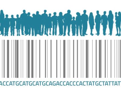 DNA-profile-code.jpg