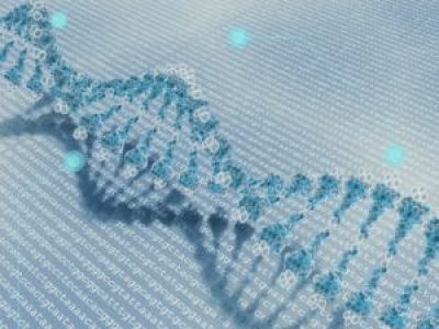 DNA-strand-by-Mehmet-Pinarci-CC-BY-2.0-e1428315011713-300x275.jpg