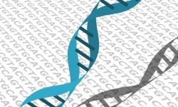 El análisis de tríos de ADN con fines de investigación, diagnósticos o ambos conlleva ciertos problemas como los hallazgos secundarios o la identificación de parentescos atribuidos pero no reales. Imagen: Rubén Megía, Genética Médica News.