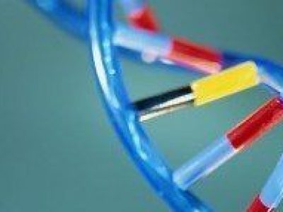 A nivel molecular, la poliposis adenomatosa familiar puede producirse como consecuencia de la presencia de mutaciones en el gen APC o en el gen MUTYH. En el caso de ser producida por mutaciones en el gen APC (adenomatosis polyposis coli), el patrón de herencia es autosómico dominante, es decir, sólo se necesita una copia mutada del gen para que se produzca. En este caso, sin tratamiento, la edad media de aparición de cáncer es de 39 años, un 87% de las personas con mutaciones desarrollan cáncer hacia los 45 años y un 93% a los 50 años. Sin colectomía, el cáncer de colon es inevitable. Cuando las mutaciones en APC se localizan fuera de la zona central del gen y no afectan profundamente a la función de la proteína que codifica, suele producirse poliposis adenomatosa atenuada, en la que el número de pólipos es menor y suelen desarrollarse más tarde. Además, existe también una variante de la enfermedad que se hereda con patrón autosómico recesivo – son necesarias dos copias del gen mutadas – causada por la presencia de mutaciones en las dos copias del gen MUTYH (mutY DNA glycosylase), un gen implicado en la reparación del ADN. El diagnóstico de la poliposis adenomatosa familiar se basa en la historia familiar, los hallazgos clínicos y en una exploración del intestino grueso o una colonoscopia completa. Además, siempre que sea posible el diagnóstico clínico debería confirmarse mediante pruebas genéticas. En caso de detectarse mutaciones en el gen APC en un paciente, es recomendable analizar el gen en los familiares de primer grado ya que ellos pueden también tener la mutación. En estas situaciones es conveniente acudir a un asesor genético. La identificación temprana de mutaciones en APC permite prevenir la aparición del cáncer por medio del seguimiento exhaustivo de los portadores y así mejorar su calidad de vida. Debido a que las diferentes definiciones clínicas de la poliposis adenomatosa familiar pueden incluir las diferentes entidades genéticas, cuando no se detectan mutaciones en APC, o especialmente, si el patrón de herencia es autosómico recesivo, debería considerarse la posibilidad de la existencia de mutaciones en el gen MUTYH.