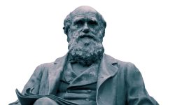 Darwin introdujo el concepto de selección en la evolución de las especies