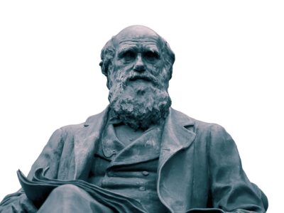 Darwin introdujo el concepto de selección en la evolución de las especies