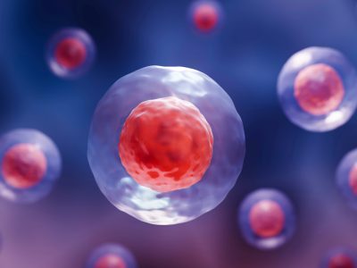 Desarrollan un método para producir células madre de la sangre a través de la activación de un conjunto de siete genes clave
