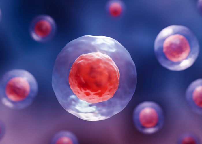 Desarrollan un método para producir células madre de la sangre a través de la activación de un conjunto de siete genes clave