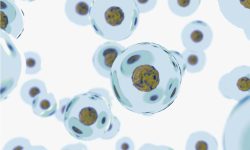 Una nueva investigación revela una proteína reguladora que interviene en cáncer y envejecimiento. Imagen: Adobe Express.