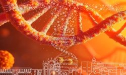 El V Congreso Interdisciplinar en Genética Humana aborda temas como la farmacogenética o IA en genómica y supone una oportunidad para consolidar la medicina de precisión.