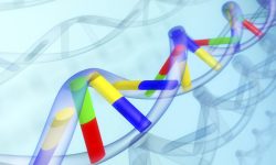 Diferentes perfiles genéticos y del desarrollo segun edad de diagnostico del autismo Diferentes perfiles genéticos y del desarrollo segun edad de diagnostico del autismo.