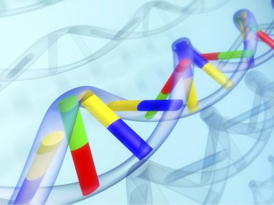 Diferentes perfiles genéticos y del desarrollo segun edad de diagnostico del autismo.