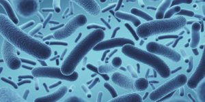 Diferentes poblaciones humanas comparten una base de genes de resistencia a antibióticos en sus microbiomas.