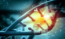 Diferentes variantes del gen LMNA en miocardiopatía tienen diferente pronóstico