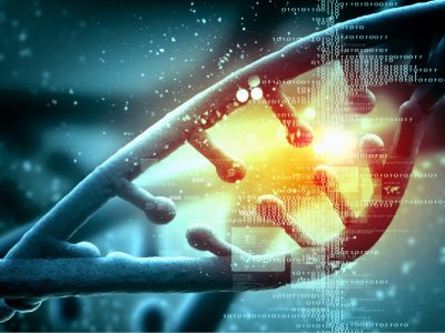 Diferentes variantes del gen LMNA en miocardiopatía tienen diferente pronóstico