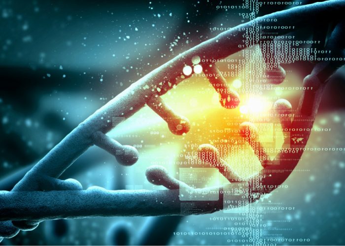 Diferentes variantes del gen LMNA en miocardiopatía tienen diferente pronóstico