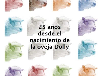 Dolly imagen