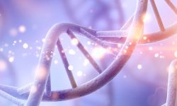 El ADN circulante hace referencia a las moléculas de ADN fuera de las células que pueden ser detectadas en diferentes fluidos del cuerpo