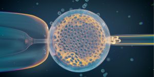 Biopsia de un embrión obtenido por fecundación in vitro. El análisis de miles de estos embriones ha permitido identificar variantes genéticas relacionadas con anomalías cromosómicas y aborto espontáneo. Imagen: Thom Leach, Amoeba Studios
