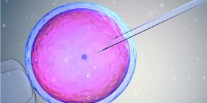 El análisis del exoma de mujeres con problemas de fertilidad ha revelado nuevas causas genéticas de infertilidad