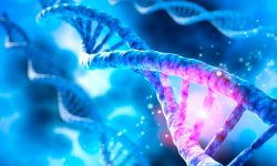 El análisis genético de más de 17000 pacientes con cardiopatías congénitas ha permitido definir mejor los genes y variantes relacionados con la enfermedad