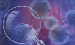 El cáncer es una enfermedad genética