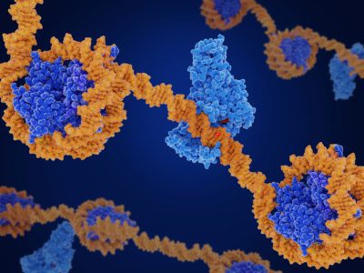 El código de las histonas influye en cómo se expresan los genes