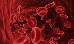 El grupo sanguíneo menos frecuente del mundo, Gwada negativo, se identificó en un análisis de sangre rutinario