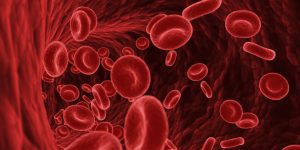 El grupo sanguíneo menos frecuente del mundo, Gwada negativo, se identificó en un análisis de sangre rutinario