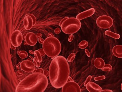 El grupo sanguíneo menos frecuente del mundo, Gwada negativo, se identificó en un análisis de sangre rutinario