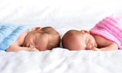 El sexo de la descendencia es casi aleatorio. No obstante en algunas familias la probabilidad del 50% puede verse afectada