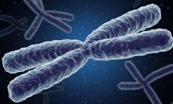 El síndrome de DiGeorge esta causado por una alteracion en el cromosoma 22