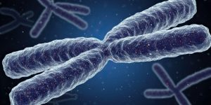 El síndrome de DiGeorge esta causado por una alteracion en el cromosoma 22