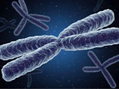 El síndrome de DiGeorge esta causado por una alteracion en el cromosoma 22 El síndrome de DiGeorge esta causado por una alteracion en el cromosoma 22