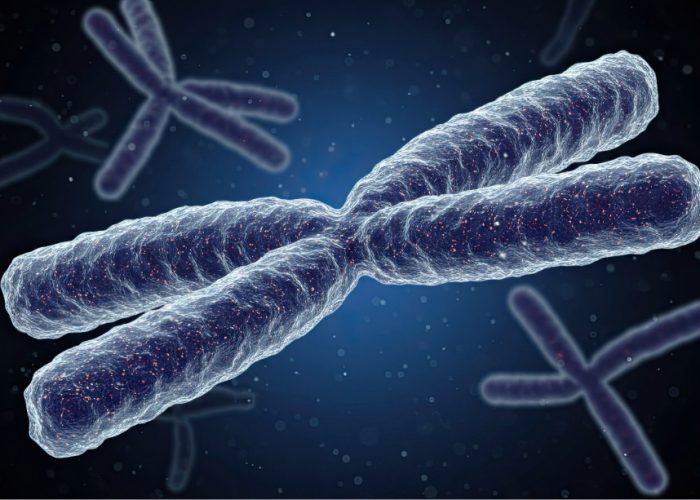 El síndrome de DiGeorge esta causado por una alteracion en el cromosoma 22