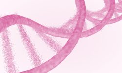 El síndrome de Kleefstra es un trastorno genético que afecta al neurodesarrollo y habilidades sociales de los niños