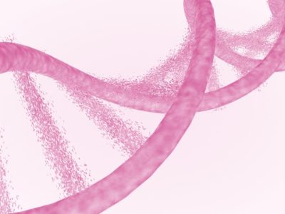 El síndrome de Kleefstra es un trastorno genético que afecta al neurodesarrollo y habilidades sociales de los niños